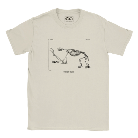 459d7f54-d095-441a-bfa5-255bb3dbe556