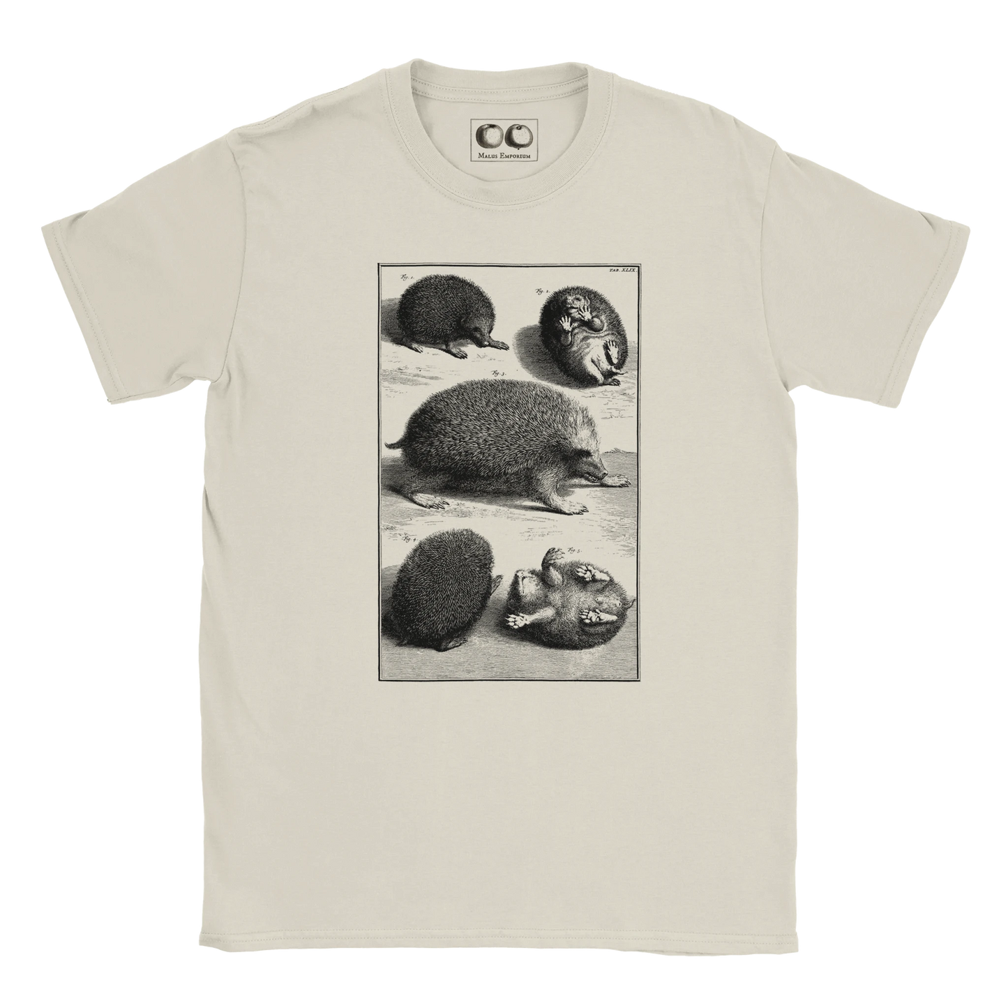 82c39bb1-b64d-45b9-84f7-dc913c029b10