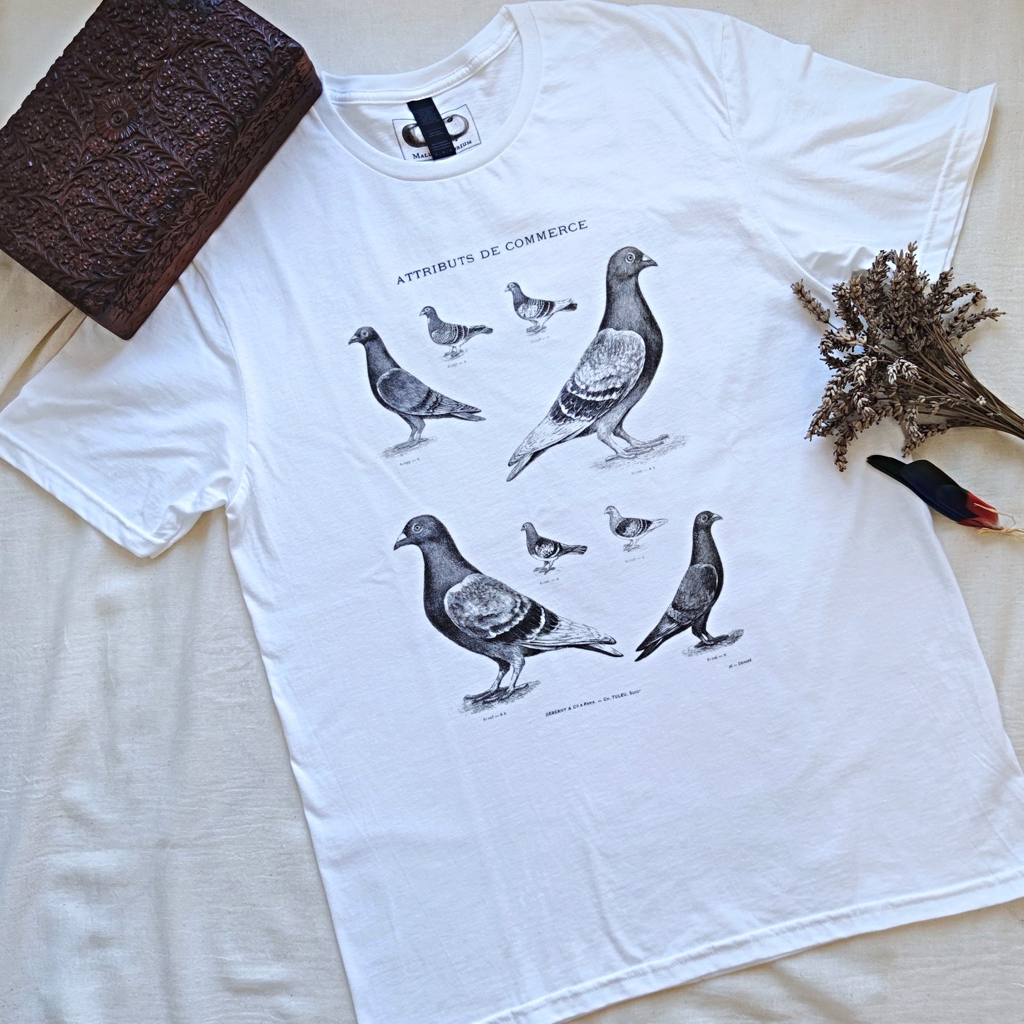 The Pigeon