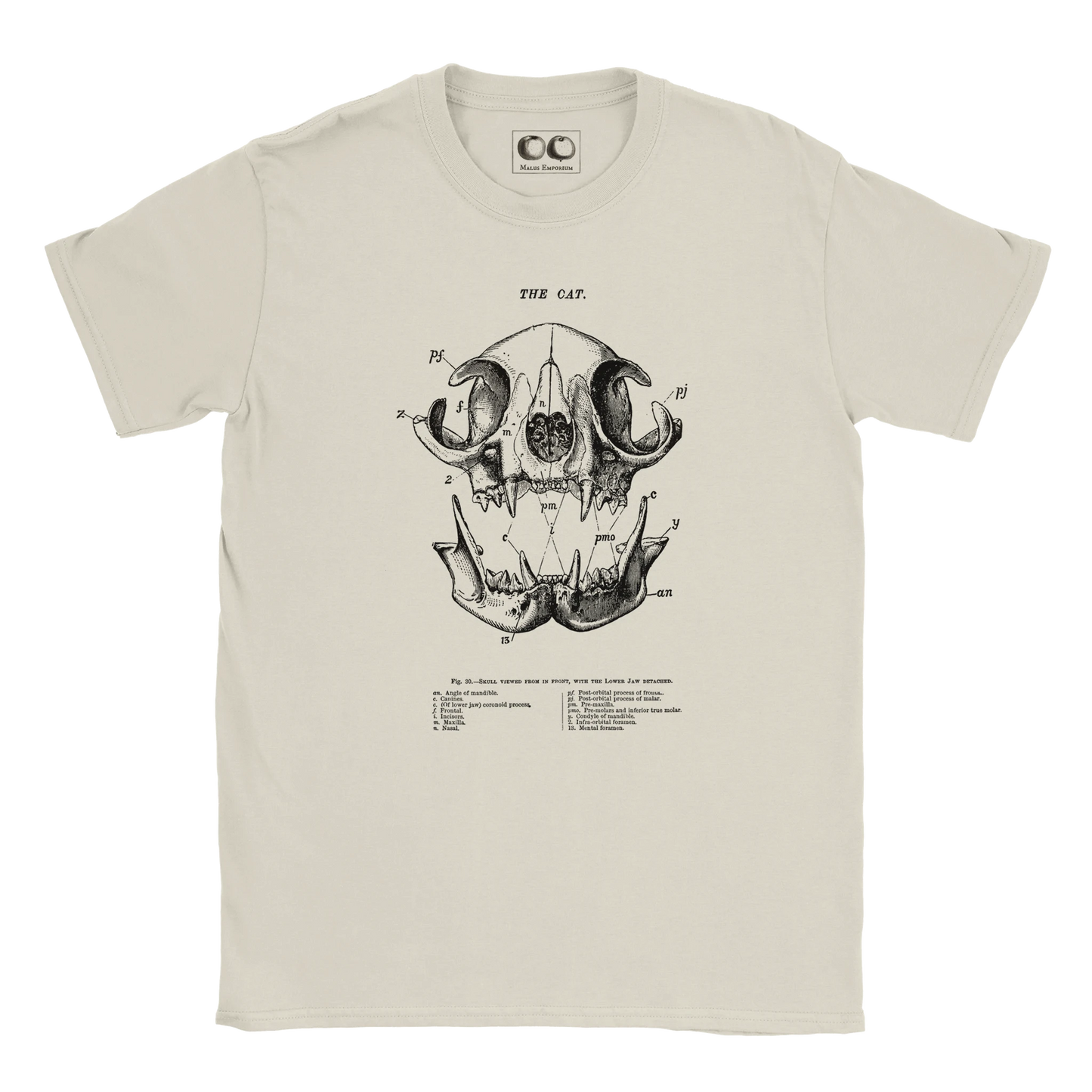 b90539b1-3dd0-4ebb-88b5-72b3e479d573