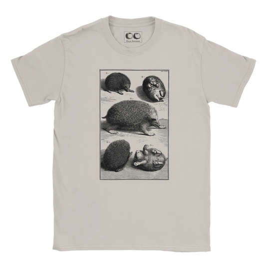 f1cbd803-c480-4b9e-b85e-6ac83a1eb327