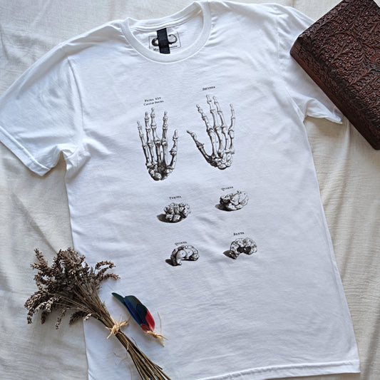 Hands